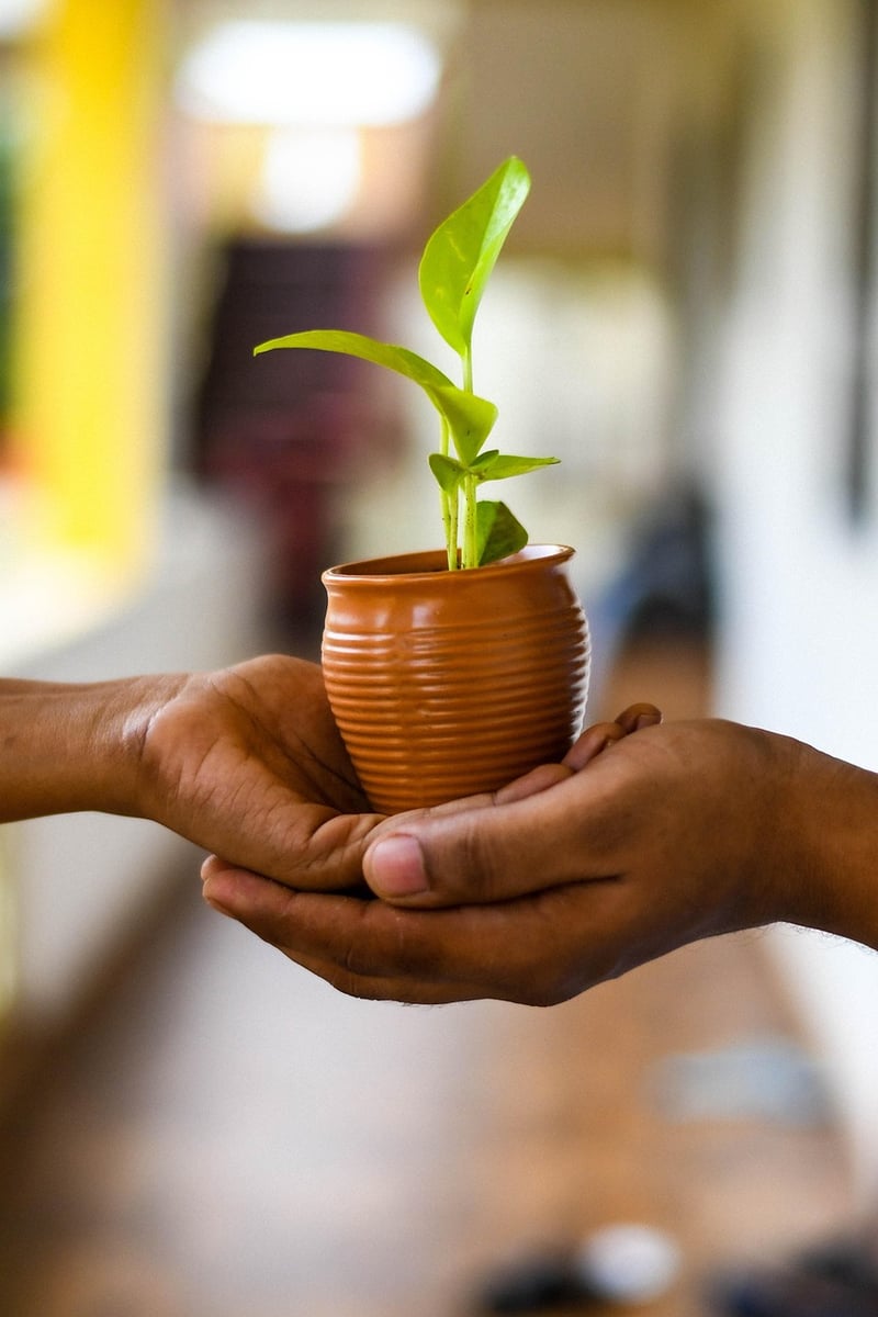 Gardening Sustainability