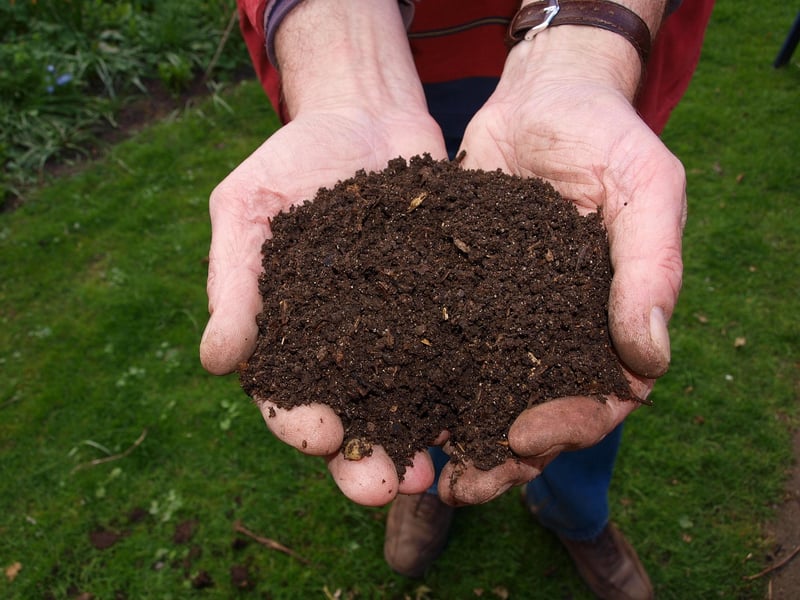 Compost Pile