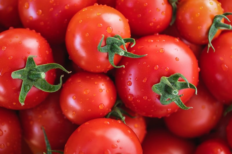 Indoor Vertical Garden Tomatoes